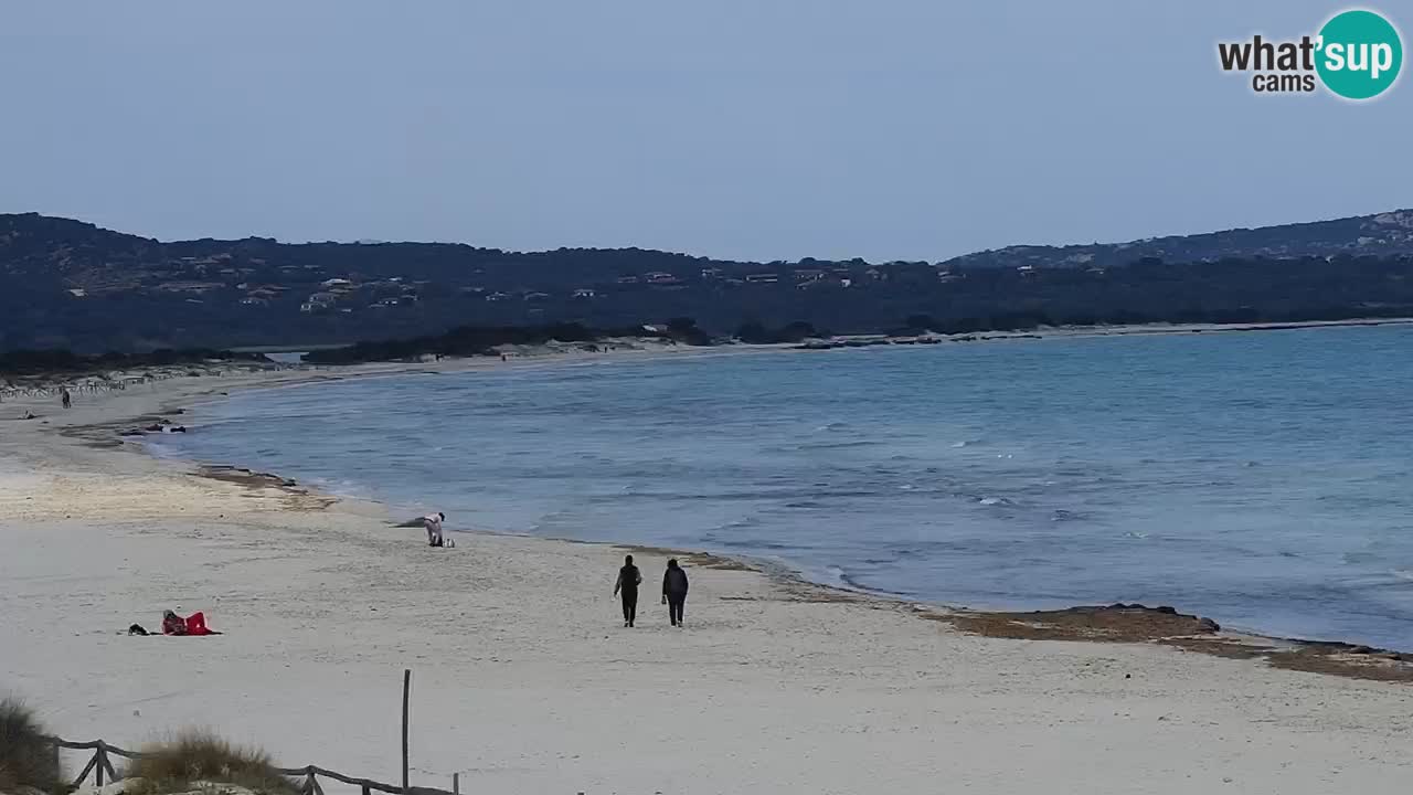 Beach de L’Isuledda – San Teodoro (OT) – Sardinia