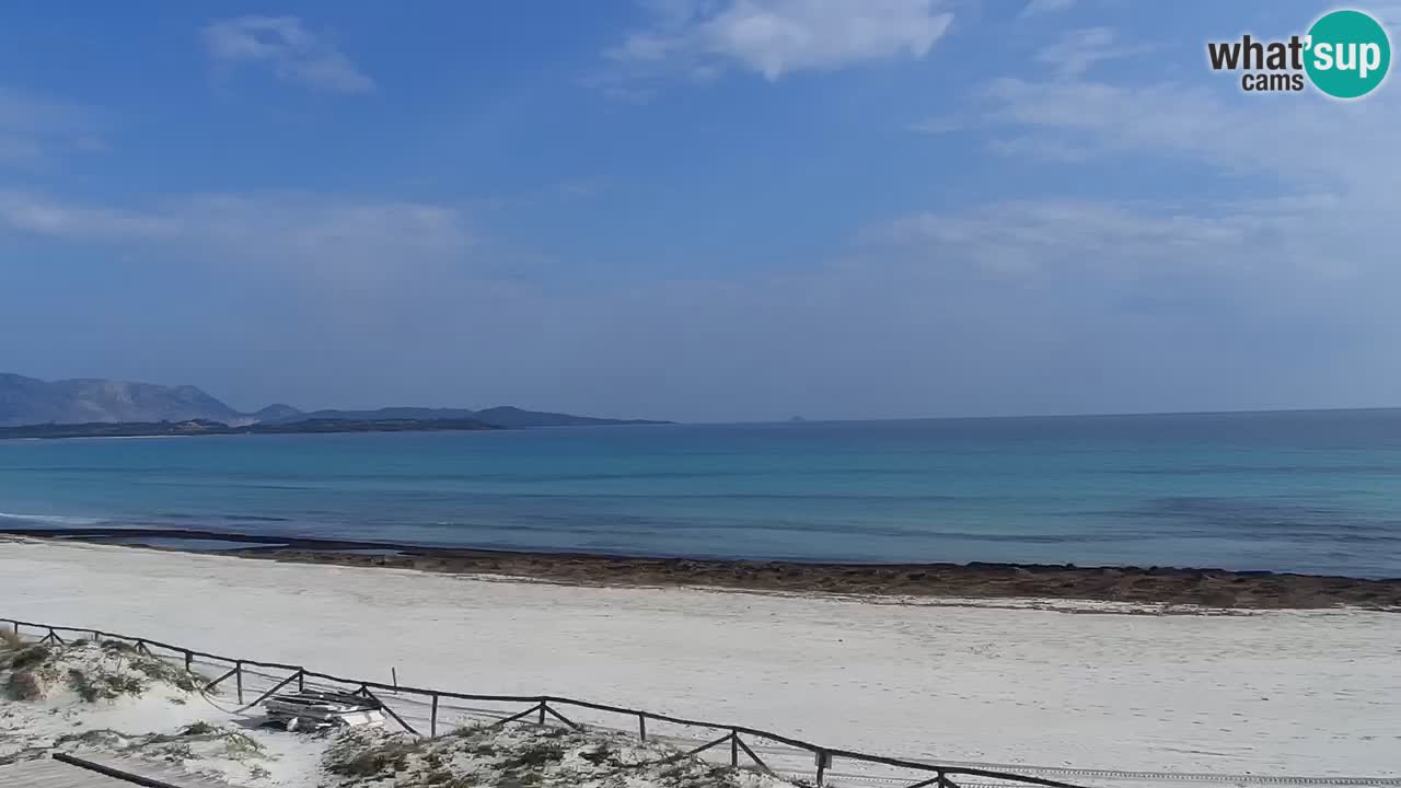 Webcam La Cinta spiaggia di San Teodoro (OT) – Sardegna