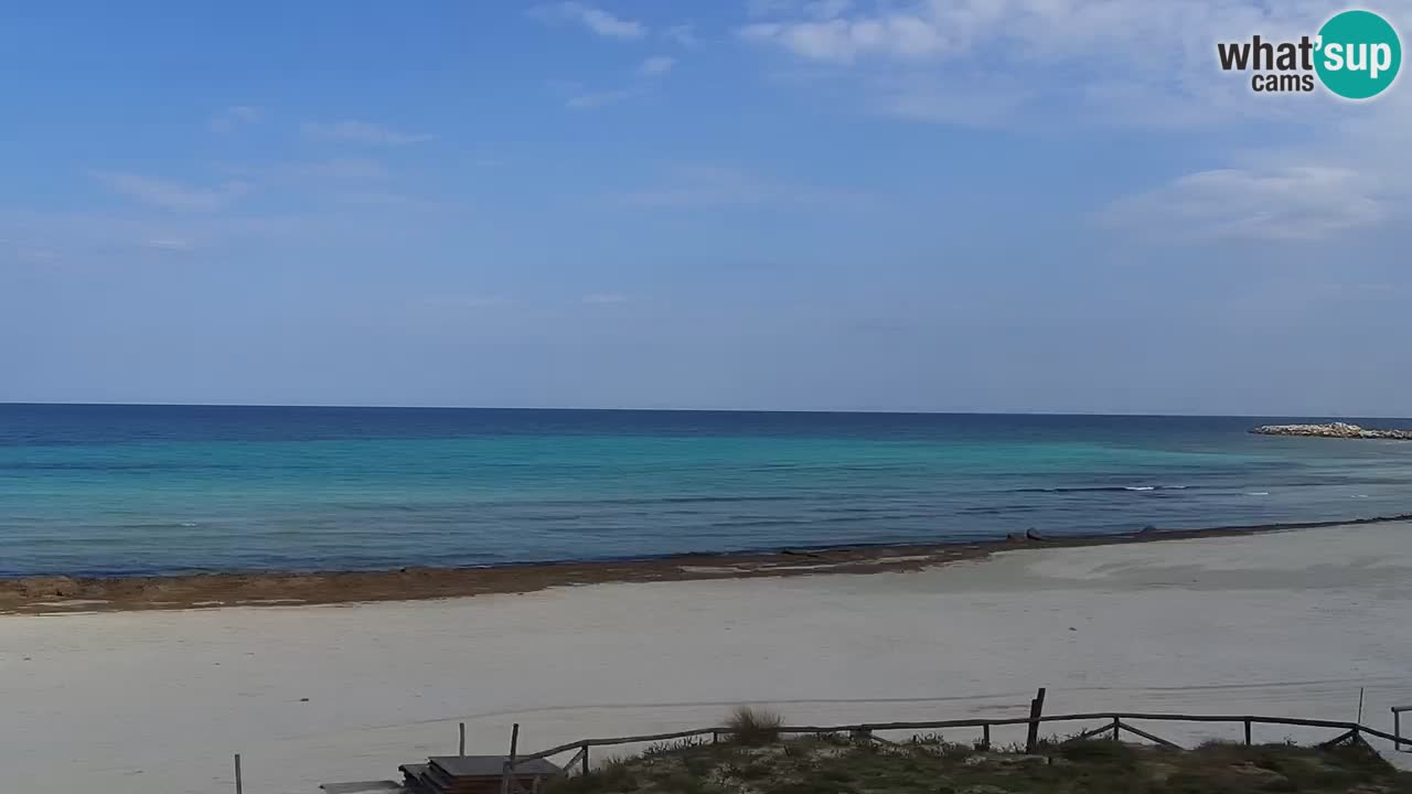 Strand de L’Isuledda – San Teodoro (OT) – Sardinien