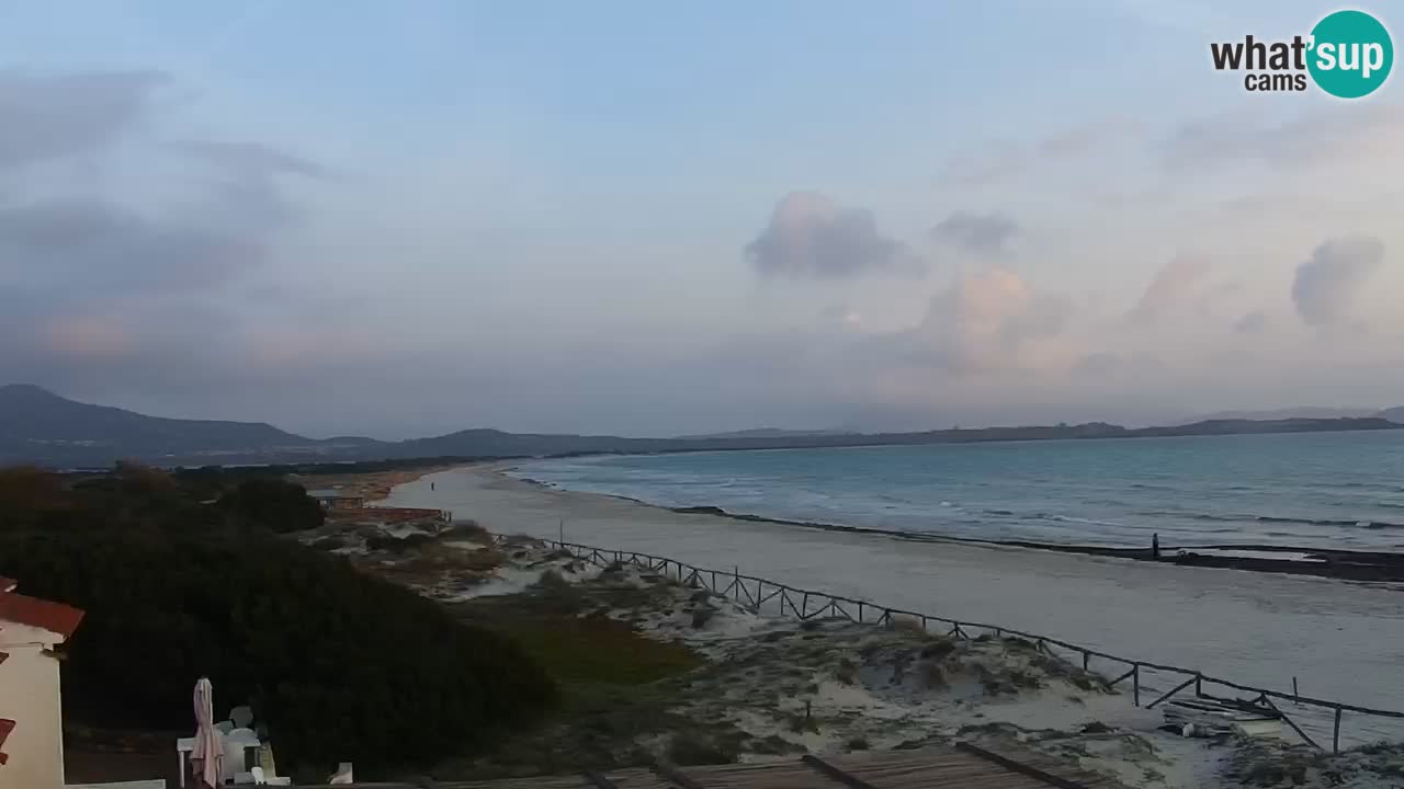 Beach de L’Isuledda – San Teodoro (OT) – Sardinia