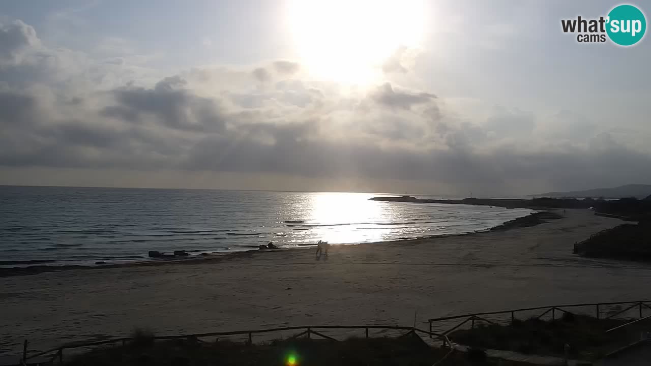 Playa de L’Isuledda – San Teodoro (OT) – Cerdeña