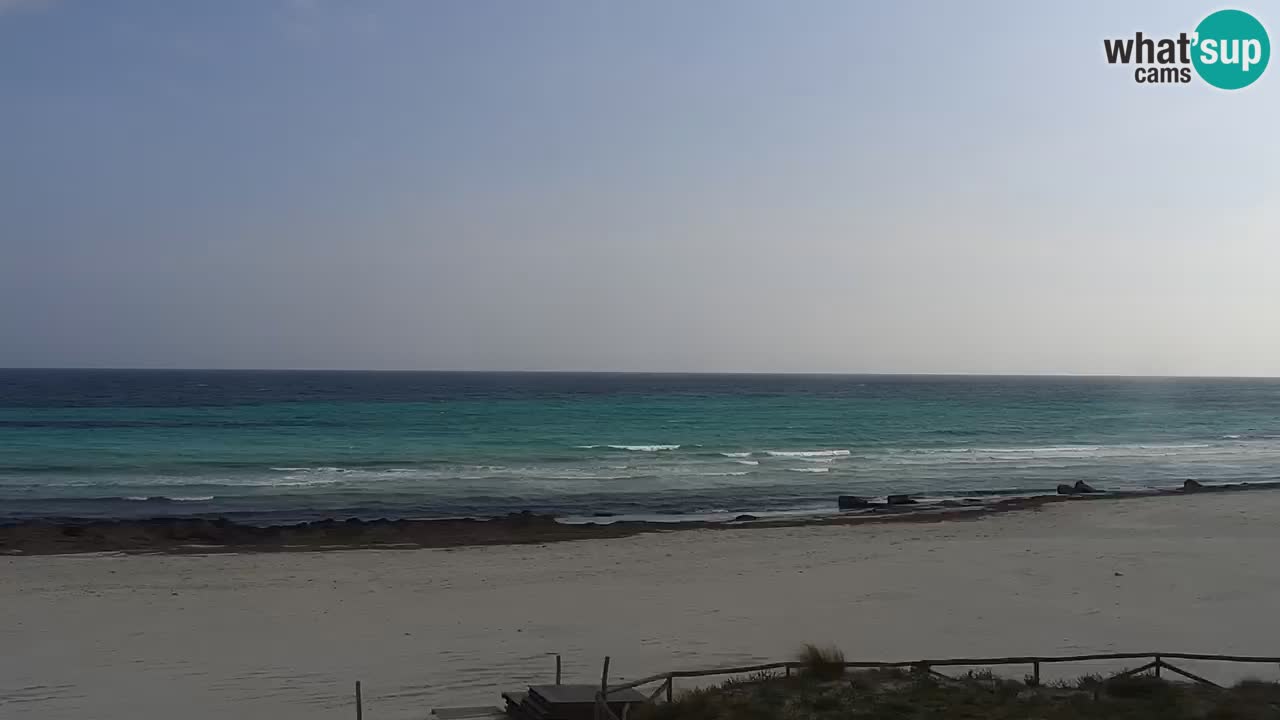 Playa de L’Isuledda – San Teodoro (OT) – Cerdeña