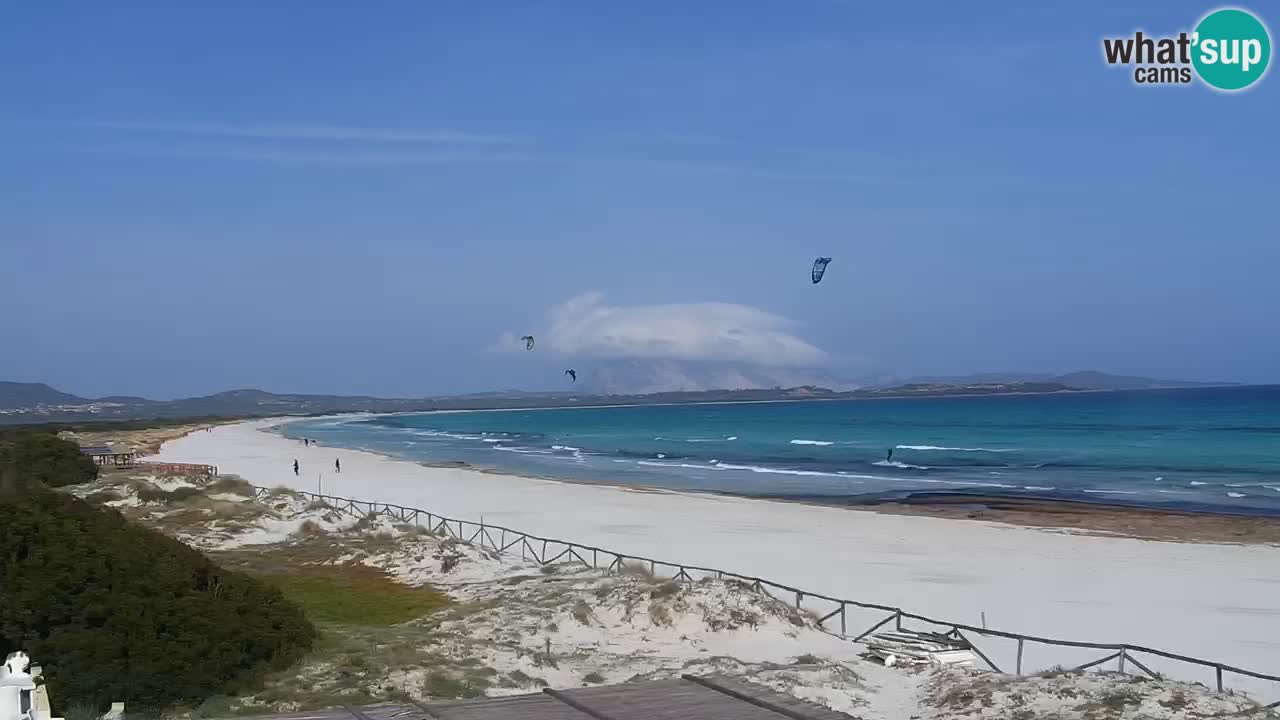 Plage de L’Isuledda – San Teodoro (OT) – Sardaigne