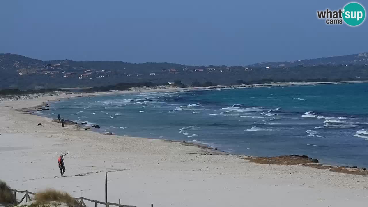 Beach de L’Isuledda – San Teodoro (OT) – Sardinia