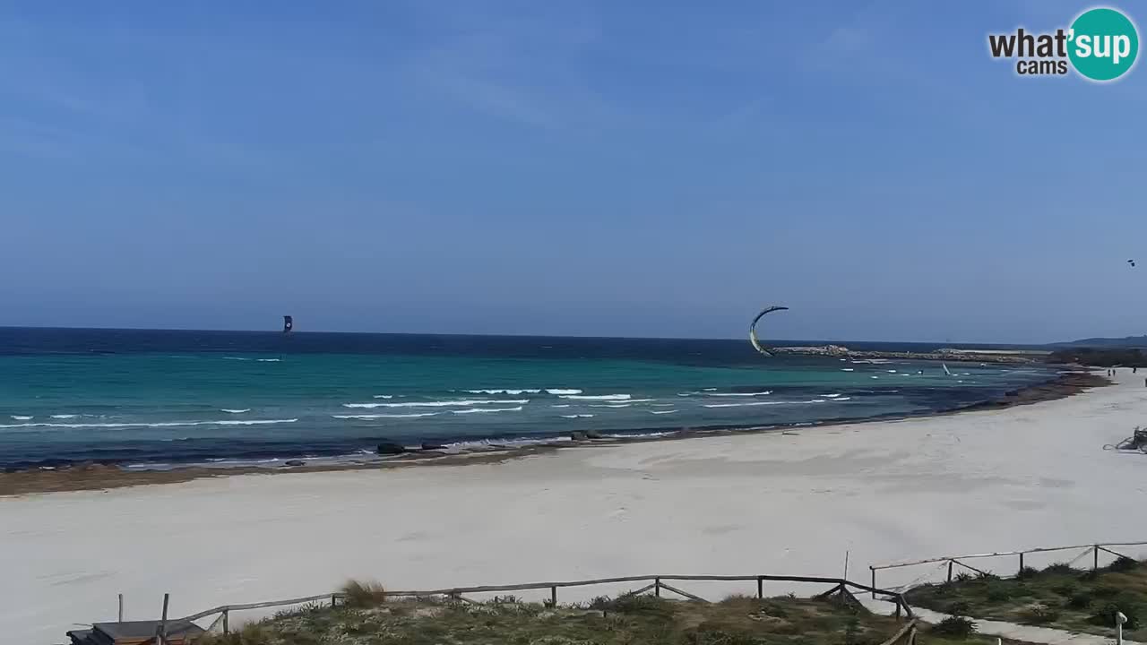 Beach de L’Isuledda – San Teodoro (OT) – Sardinia