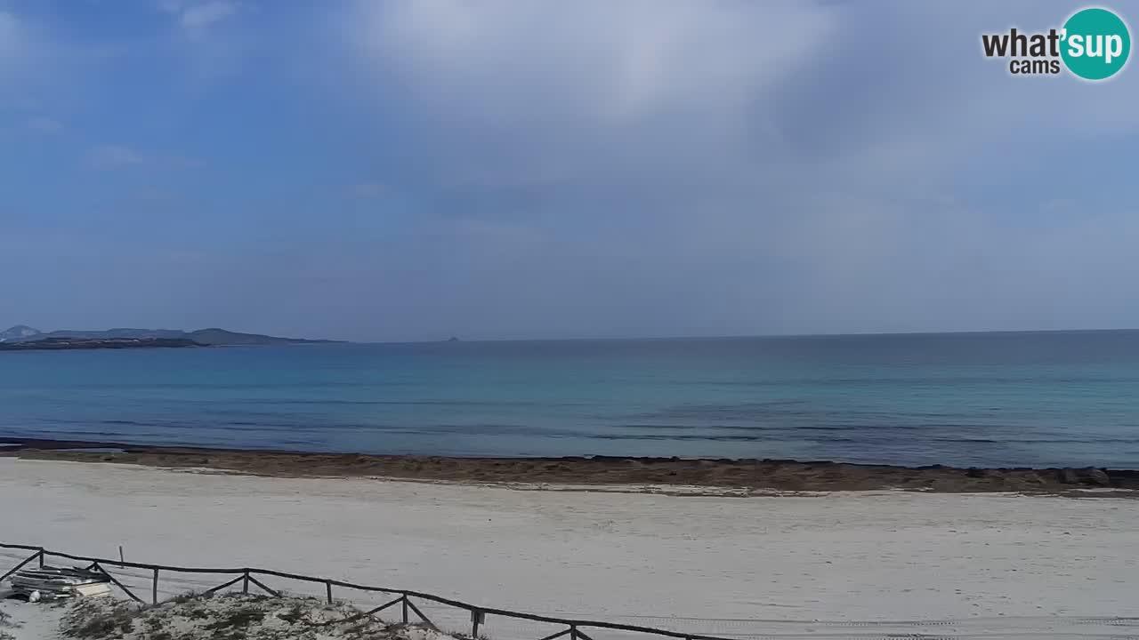 Plage de L’Isuledda – San Teodoro (OT) – Sardaigne