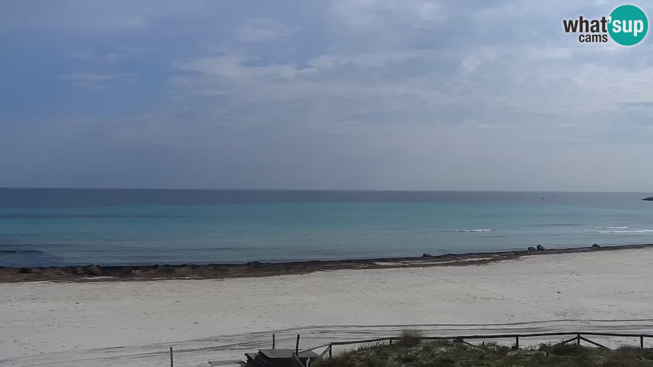 Strand de L’Isuledda – San Teodoro (OT) – Sardinien