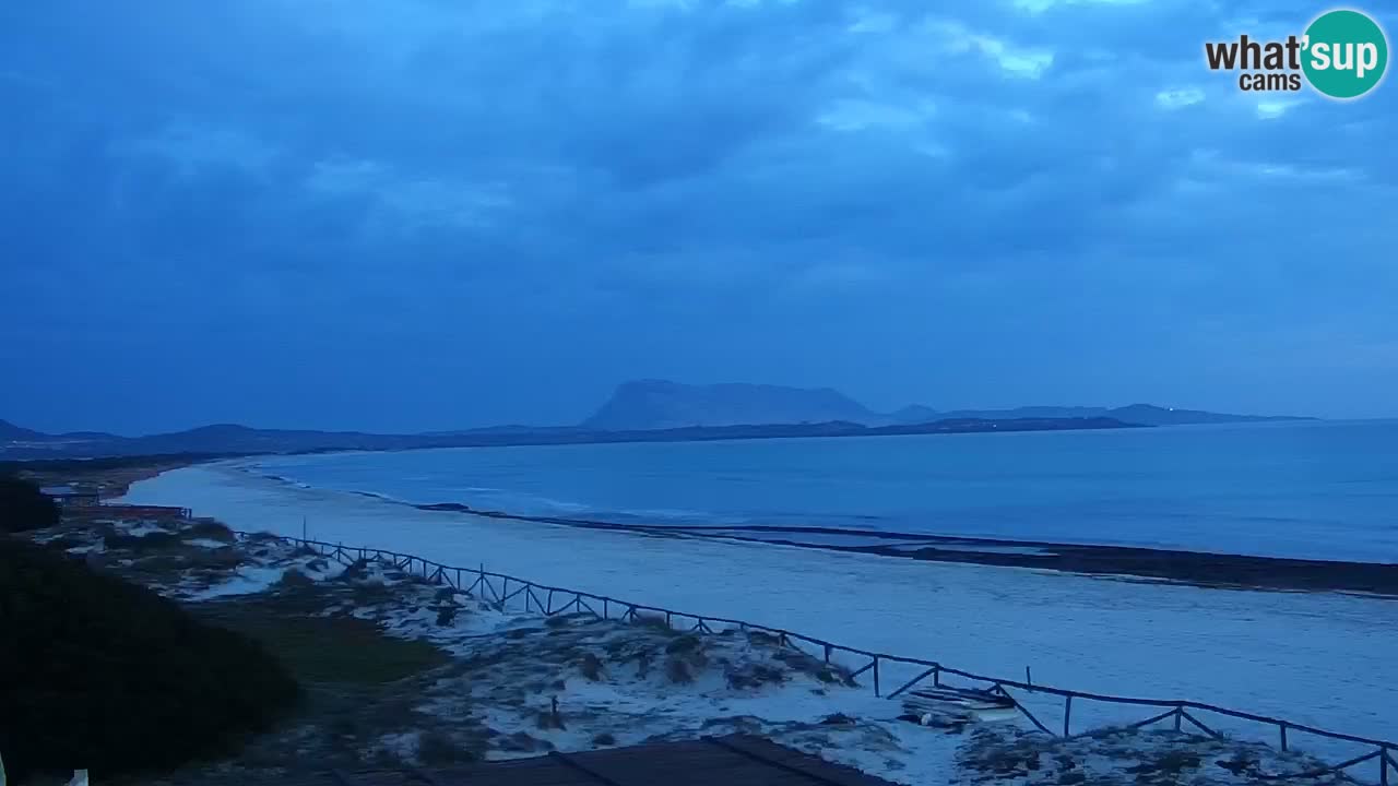 Plaža de L’Isuledda – San Teodoro (OT) – Sardinija