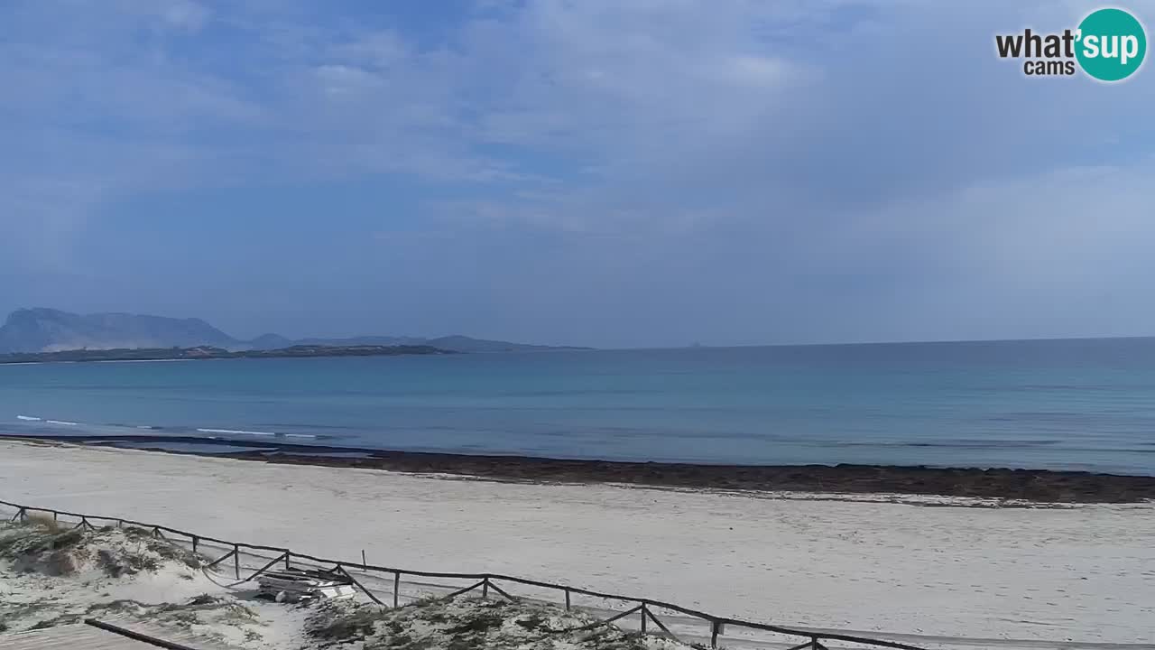 Plaža de L’Isuledda – San Teodoro (OT) – Sardinija