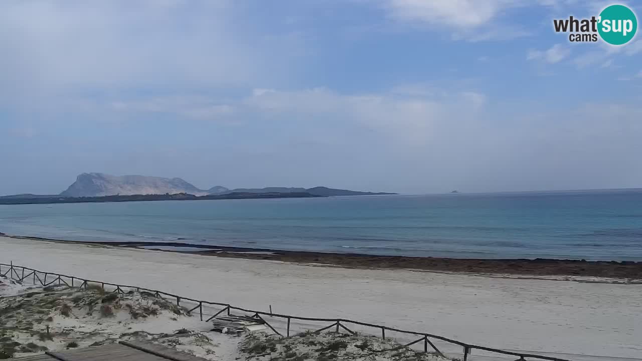 Strand de L’Isuledda – San Teodoro (OT) – Sardinien