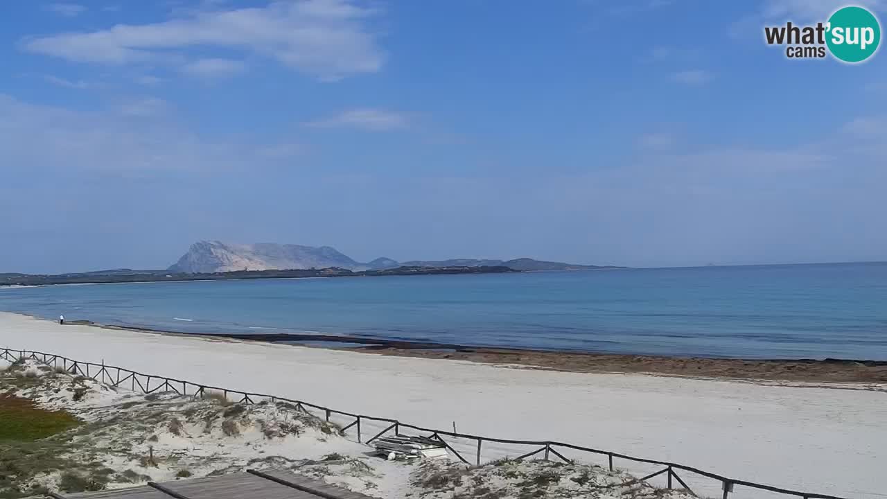 Strand de L’Isuledda – San Teodoro (OT) – Sardinien