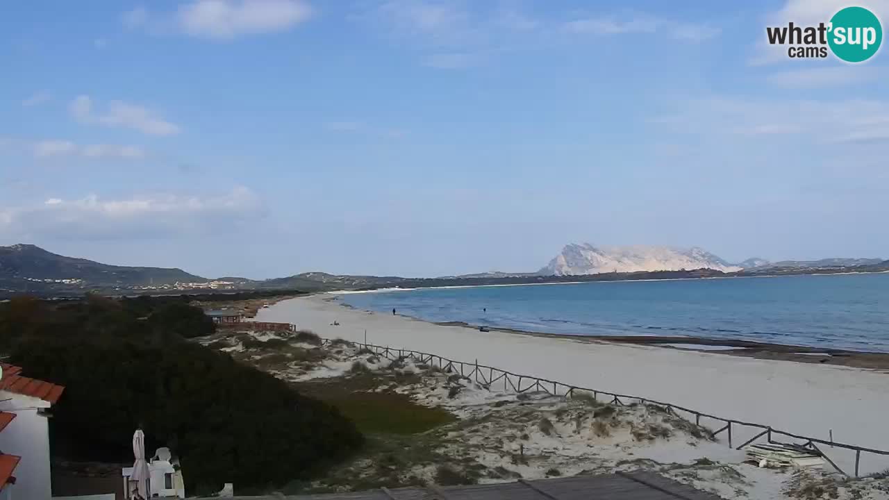 Beach de L’Isuledda – San Teodoro (OT) – Sardinia