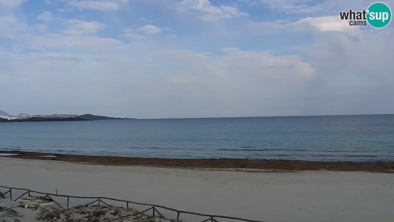 Plage de L’Isuledda – San Teodoro (OT) – Sardaigne