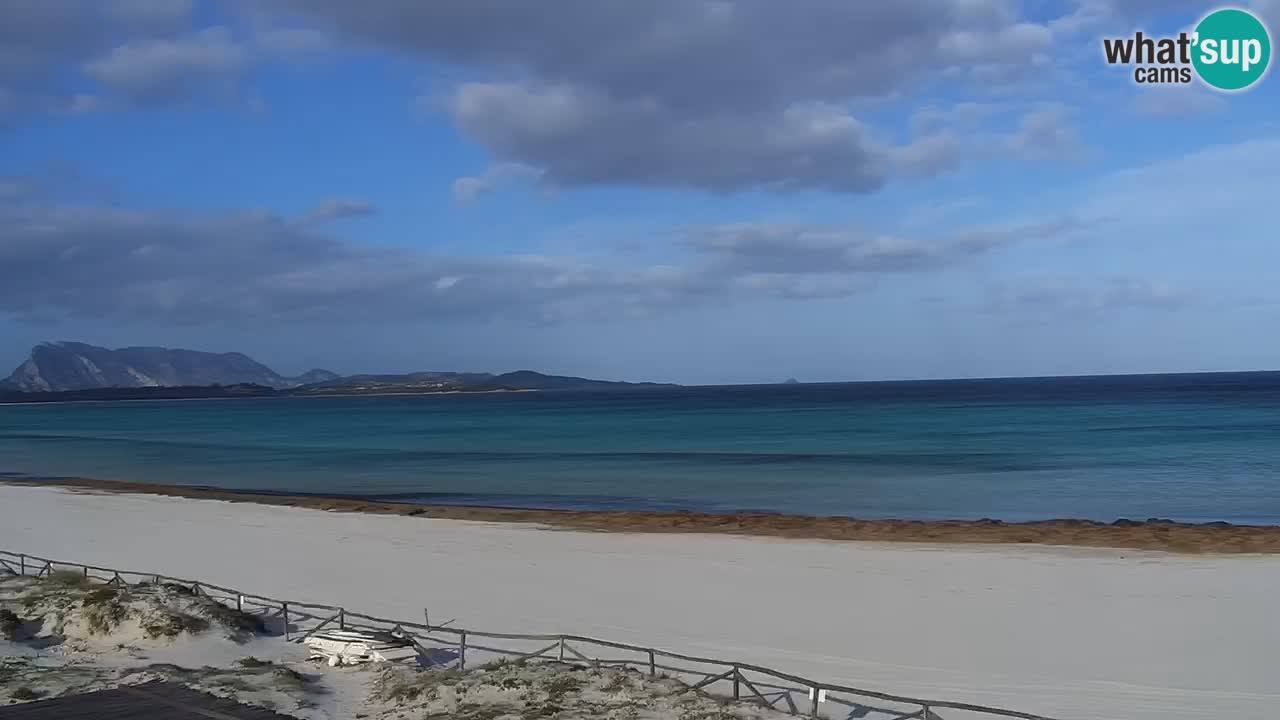 Plage de L’Isuledda – San Teodoro (OT) – Sardaigne