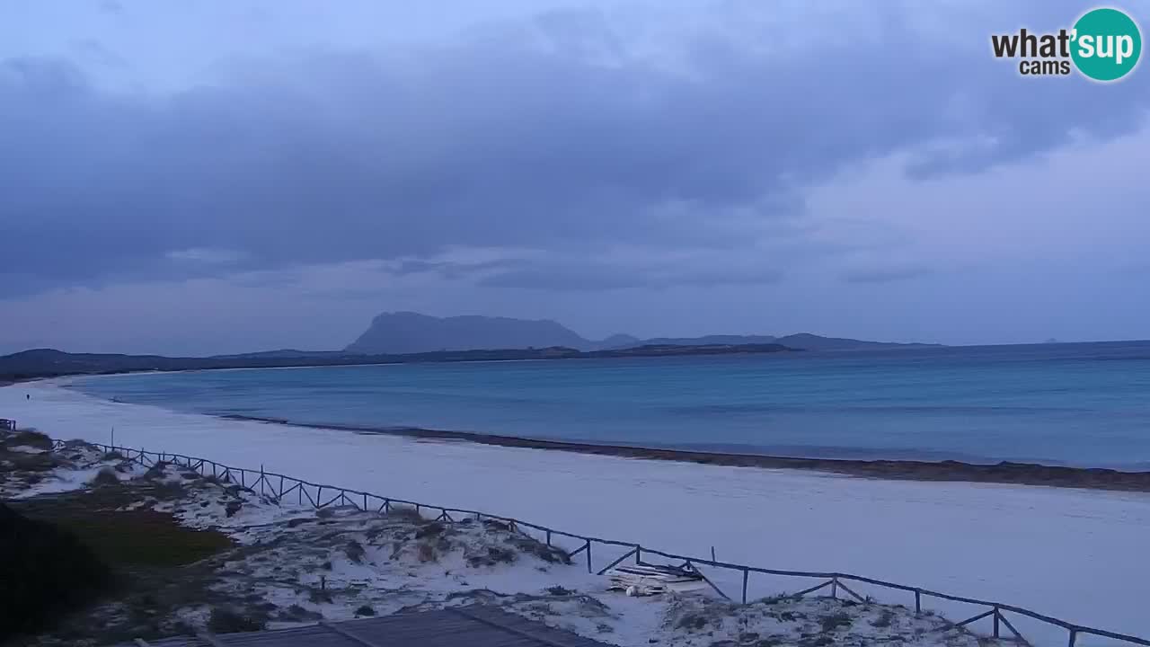 Playa de L’Isuledda – San Teodoro (OT) – Cerdeña