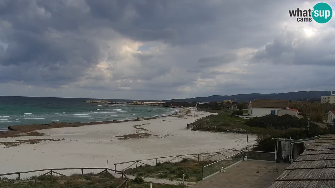 Plaža de L’Isuledda – San Teodoro (OT) – Sardinija