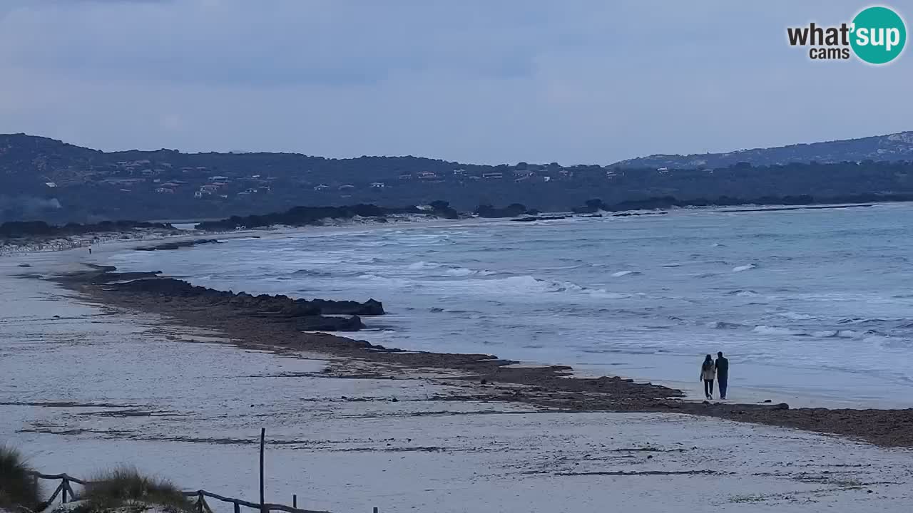 Beach de L’Isuledda – San Teodoro (OT) – Sardinia