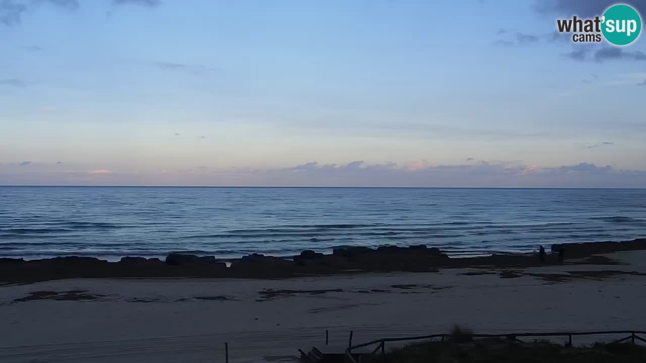 Plage de L’Isuledda – San Teodoro (OT) – Sardaigne