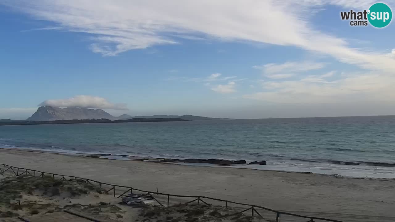 Strand de L’Isuledda – San Teodoro (OT) – Sardinien