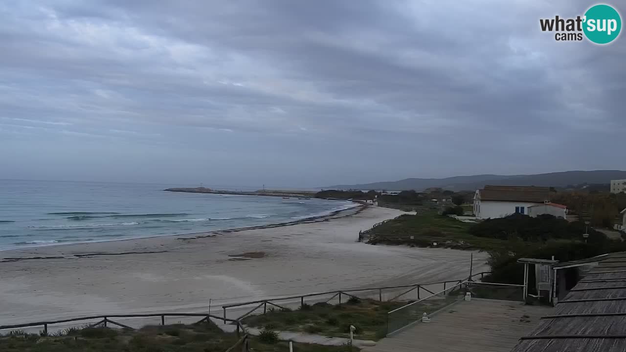 Beach de L’Isuledda – San Teodoro (OT) – Sardinia