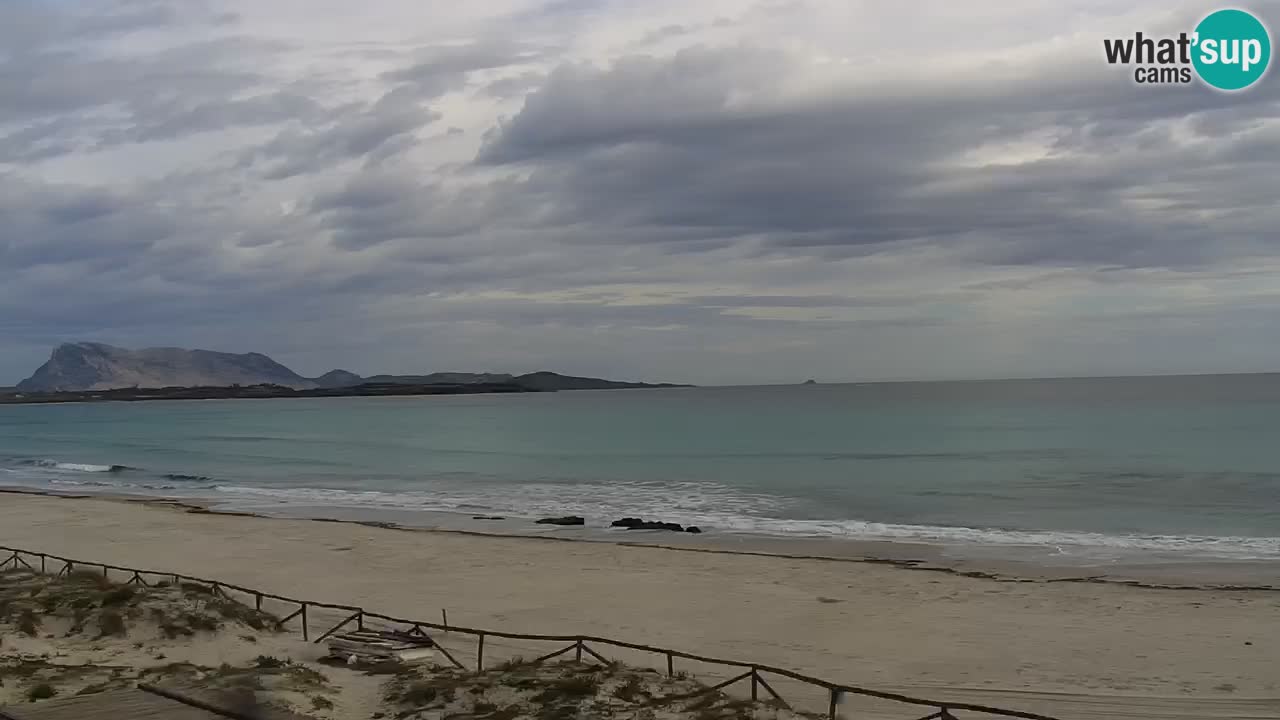 Plage de L’Isuledda – San Teodoro (OT) – Sardaigne