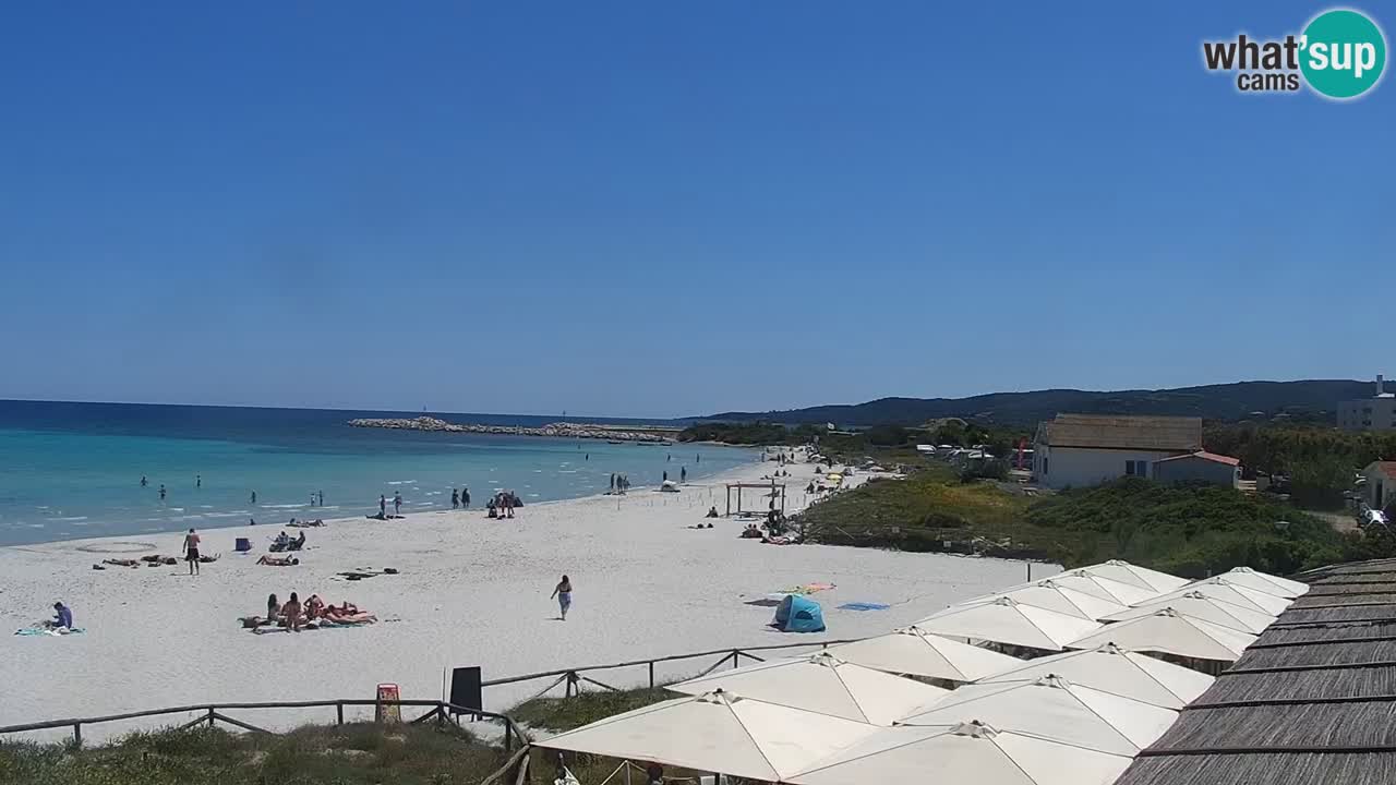 Beach de L’Isuledda – San Teodoro (OT) – Sardinia