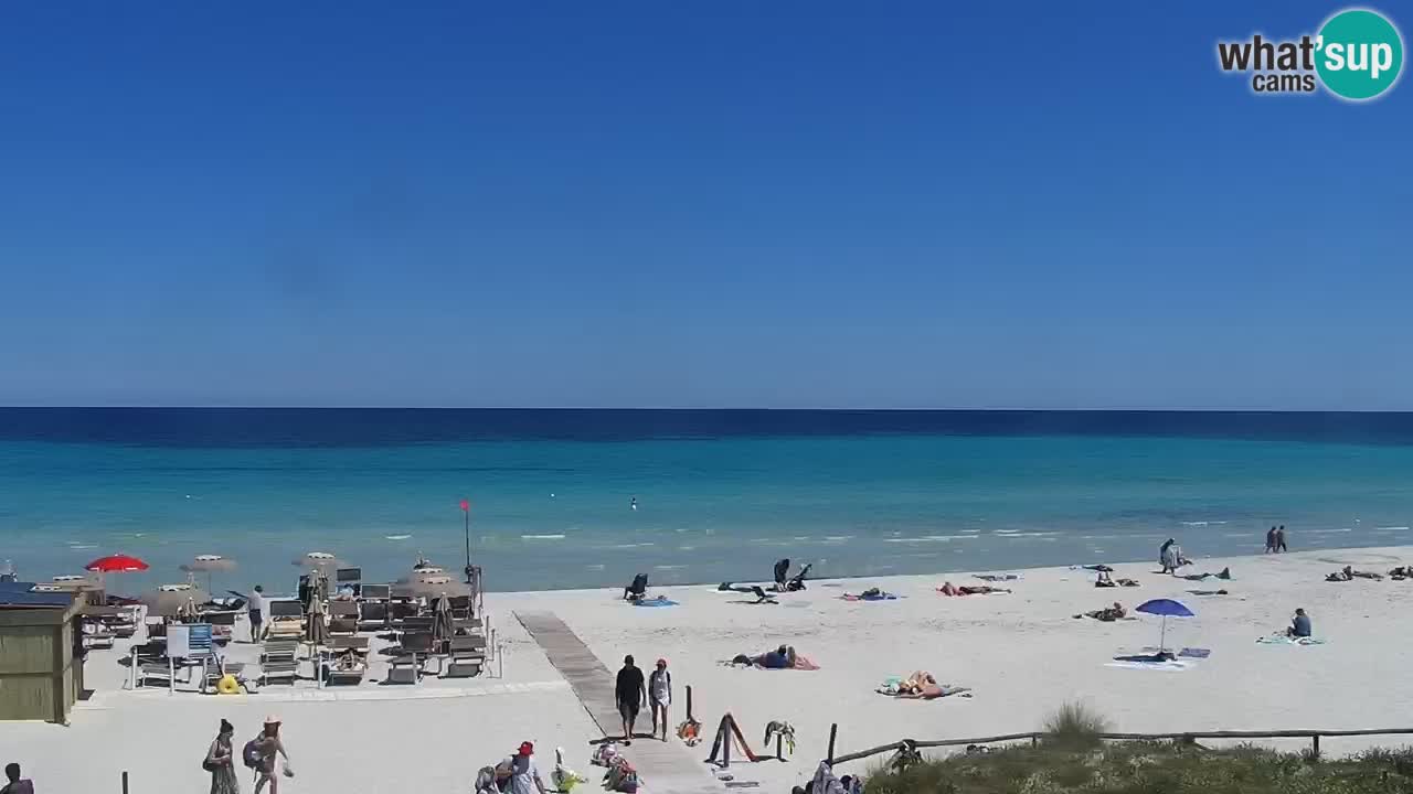 Beach de L’Isuledda – San Teodoro (OT) – Sardinia