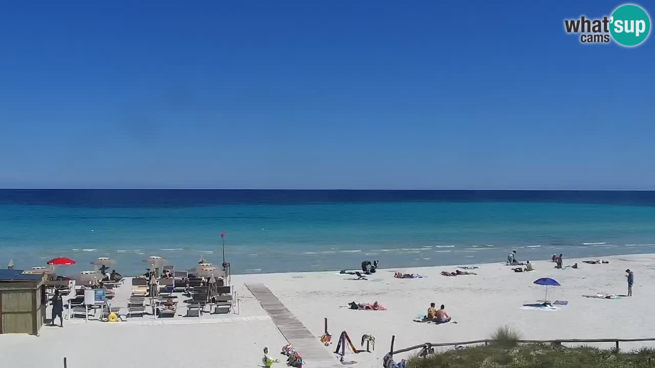 Beach de L’Isuledda – San Teodoro (OT) – Sardinia