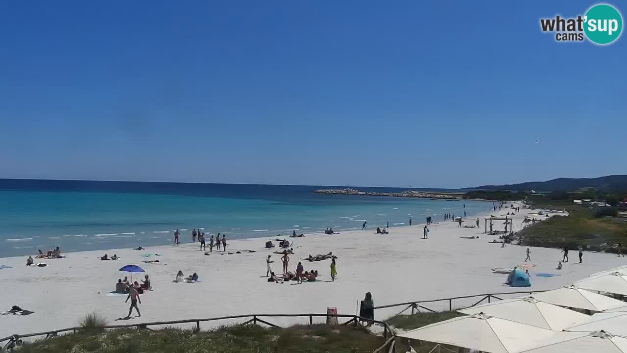 Beach de L’Isuledda – San Teodoro (OT) – Sardinia