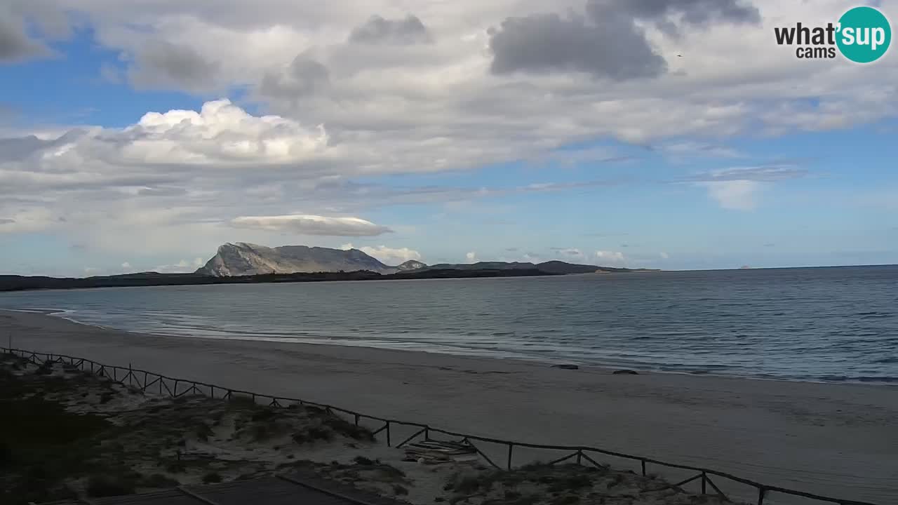 Plaža de L’Isuledda – San Teodoro (OT) – Sardinija