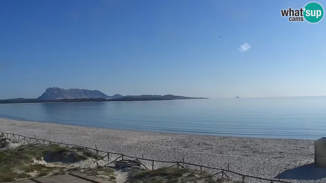 Strand de L’Isuledda – San Teodoro (OT) – Sardinien