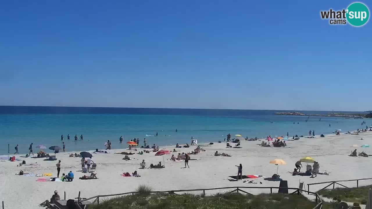 Strand de L’Isuledda – San Teodoro (OT) – Sardinien