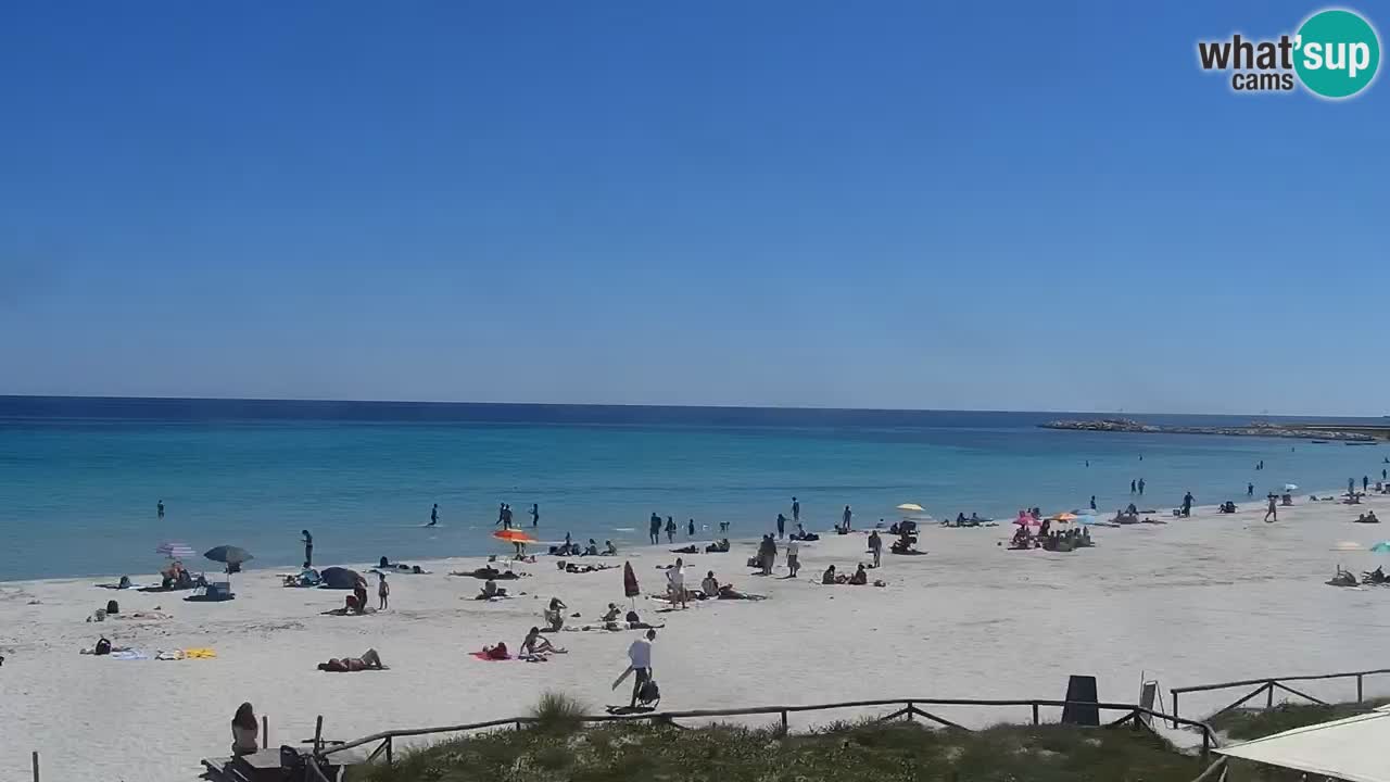 Playa de L’Isuledda – San Teodoro (OT) – Cerdeña