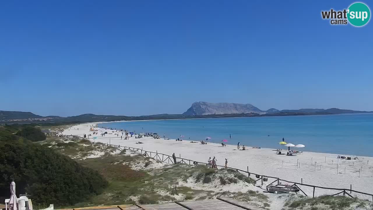 Plaža de L’Isuledda – San Teodoro (OT) – Sardinija