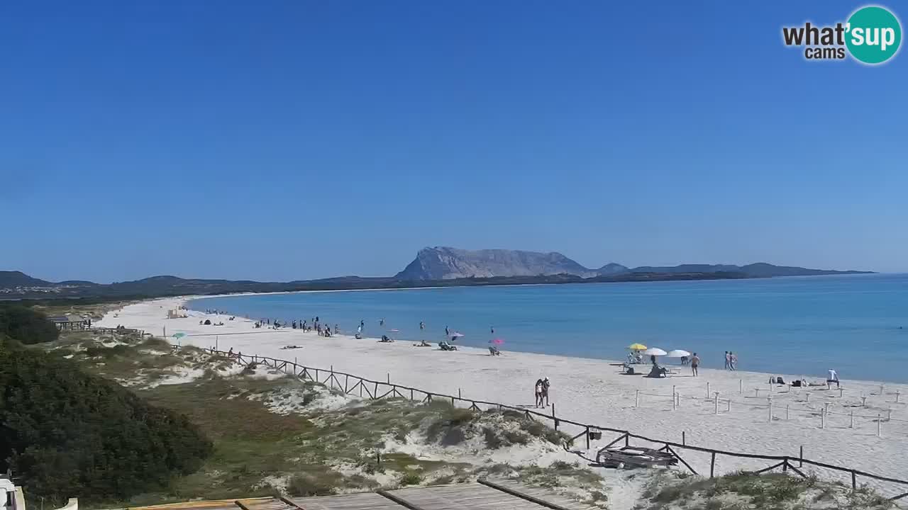 Plage de L’Isuledda – San Teodoro (OT) – Sardaigne