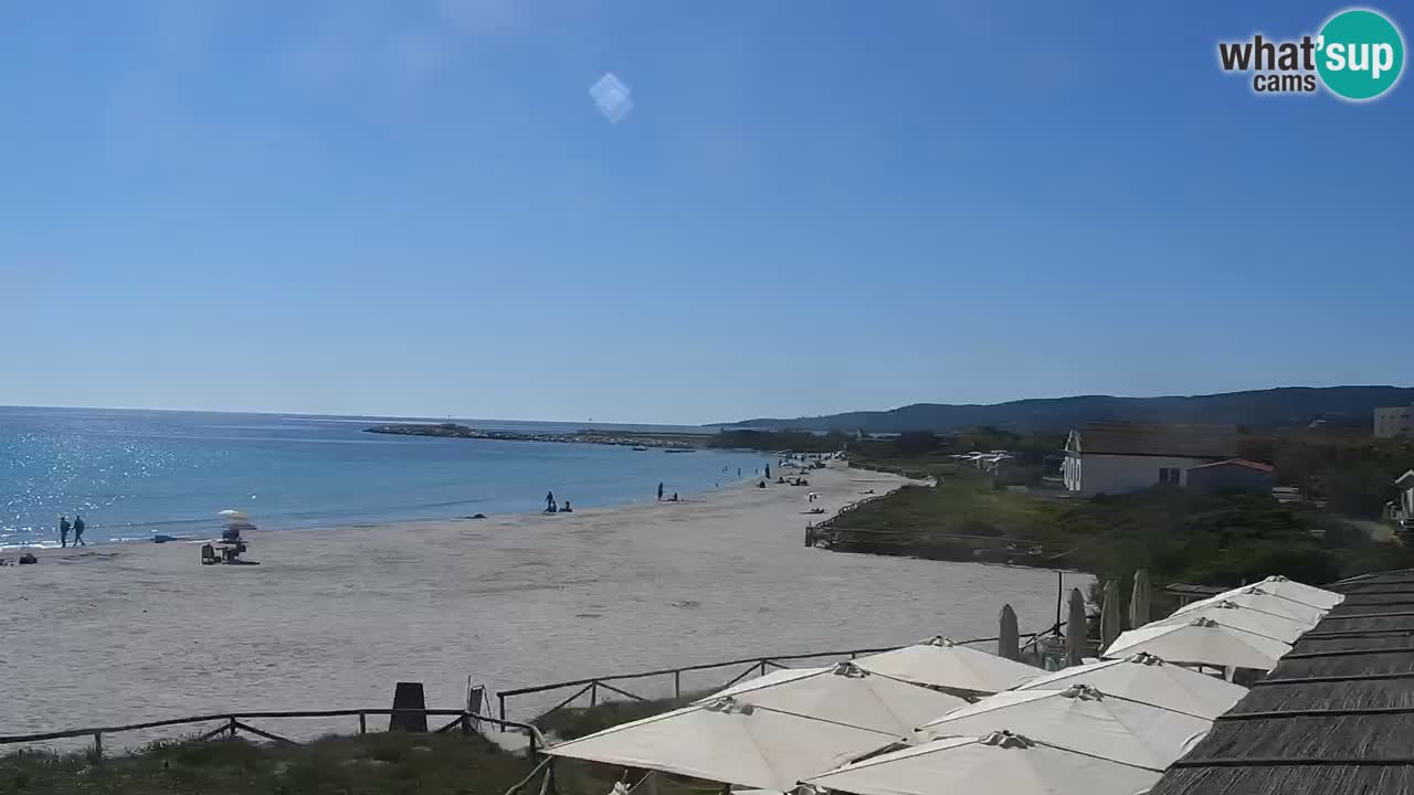 Beach de L’Isuledda – San Teodoro (OT) – Sardinia