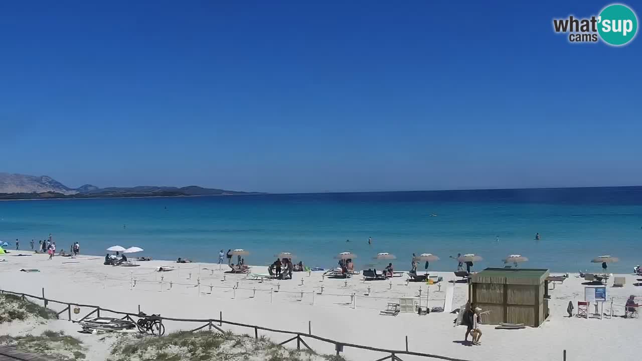 Strand de L’Isuledda – San Teodoro (OT) – Sardinien