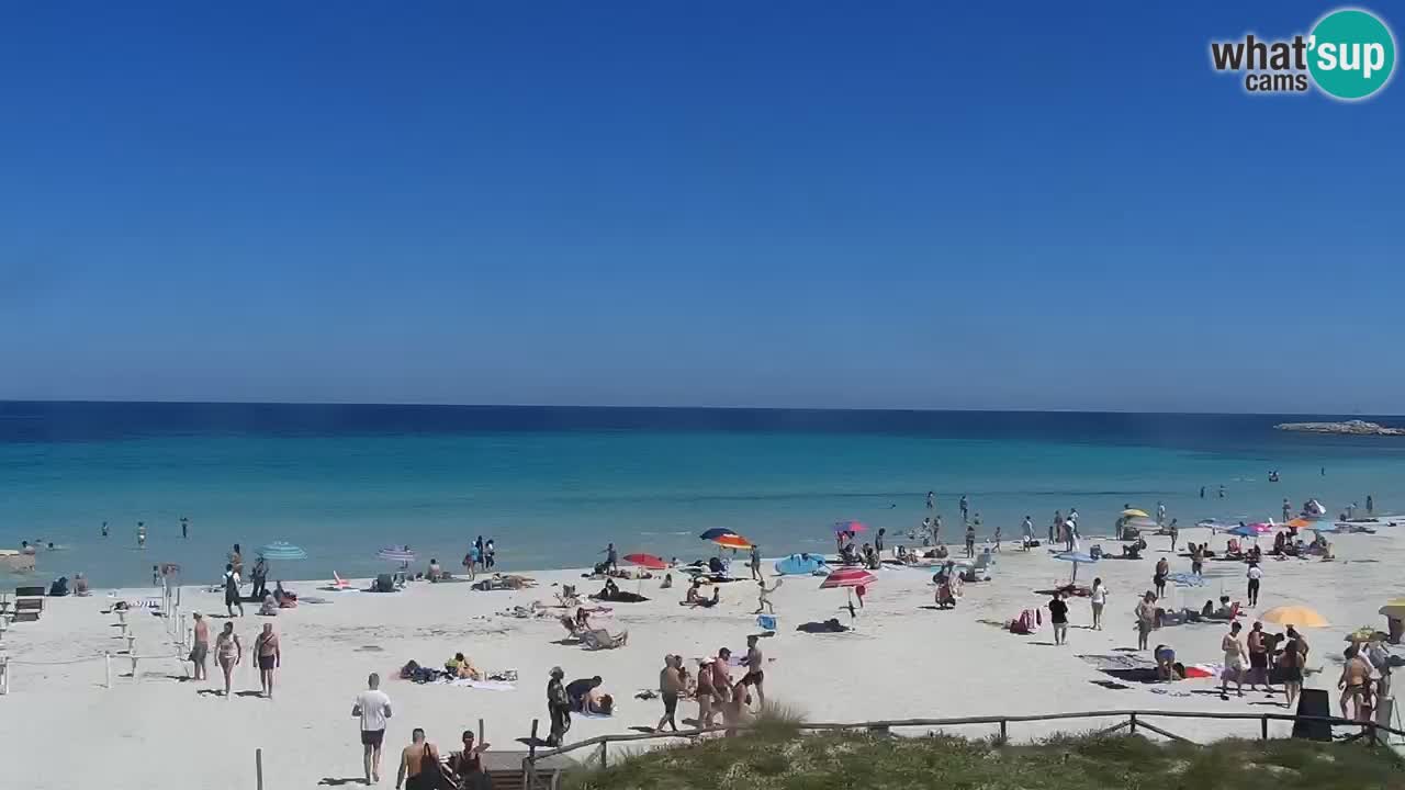 Strand de L’Isuledda – San Teodoro (OT) – Sardinien