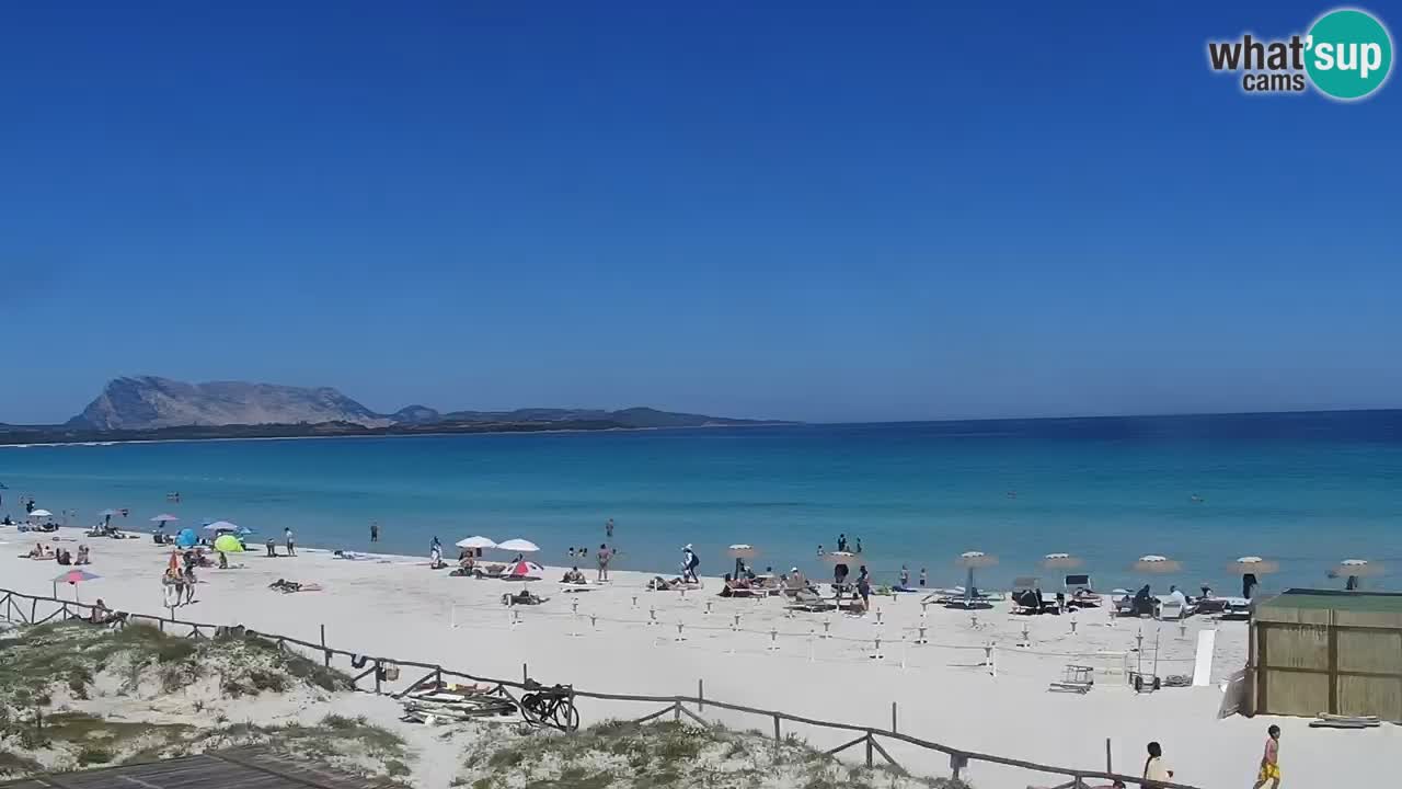 Playa de L’Isuledda – San Teodoro (OT) – Cerdeña
