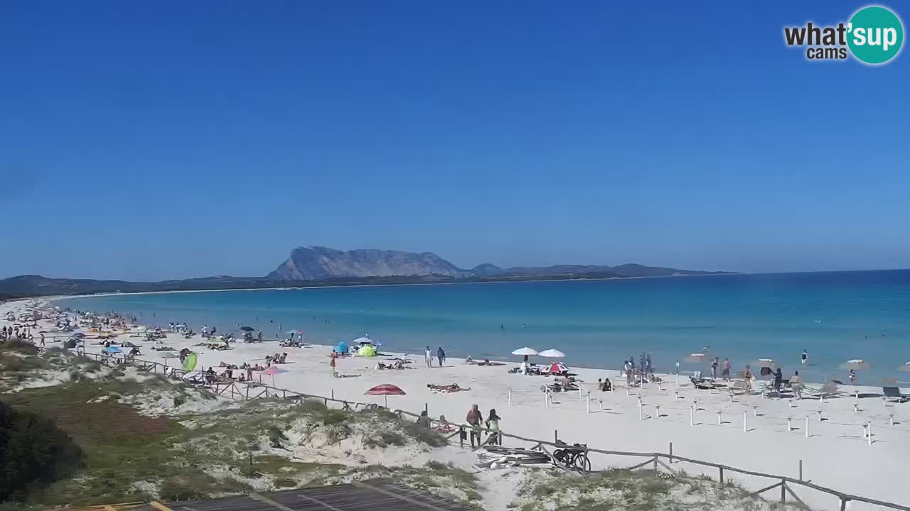 Plaža de L’Isuledda – San Teodoro (OT) – Sardinija