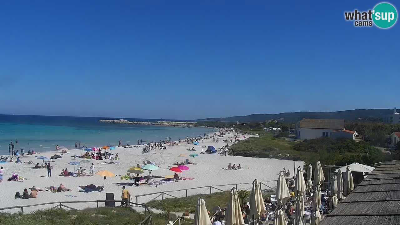 Beach de L’Isuledda – San Teodoro (OT) – Sardinia