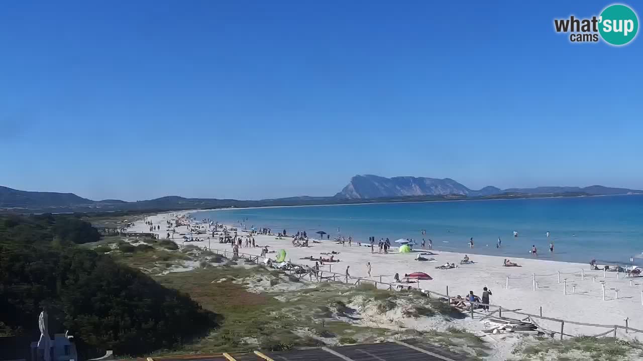 Beach de L’Isuledda – San Teodoro (OT) – Sardinia