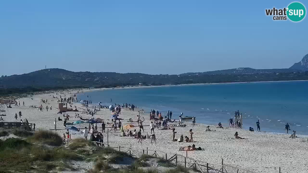 Playa de L’Isuledda – San Teodoro (OT) – Cerdeña