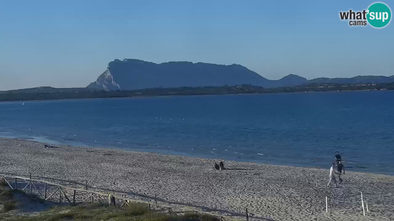 Plage de L’Isuledda – San Teodoro (OT) – Sardaigne