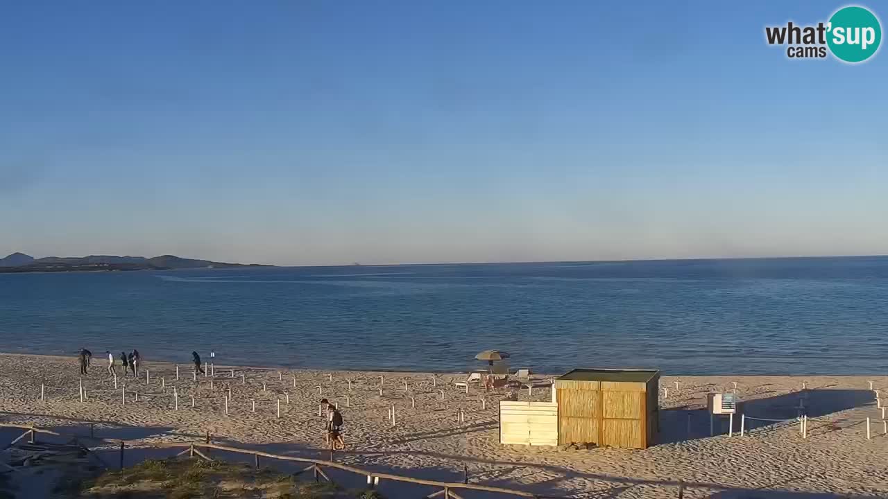 Plage de L’Isuledda – San Teodoro (OT) – Sardaigne