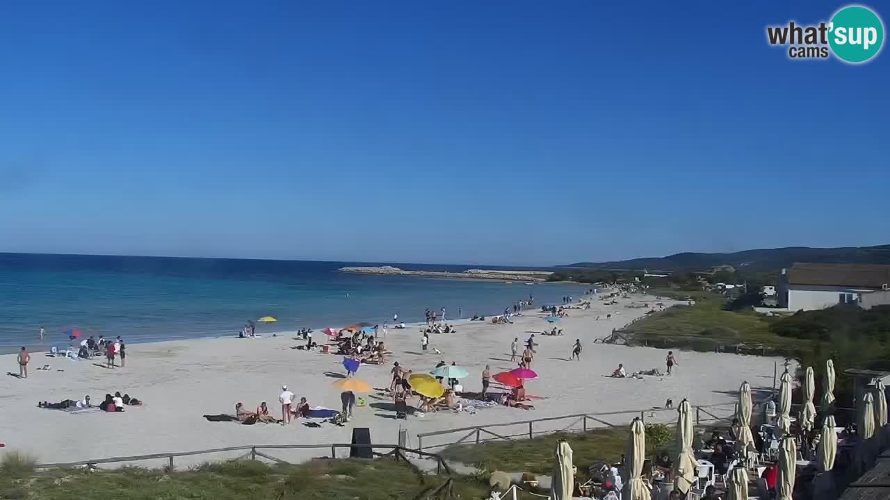 Plage de L’Isuledda – San Teodoro (OT) – Sardaigne