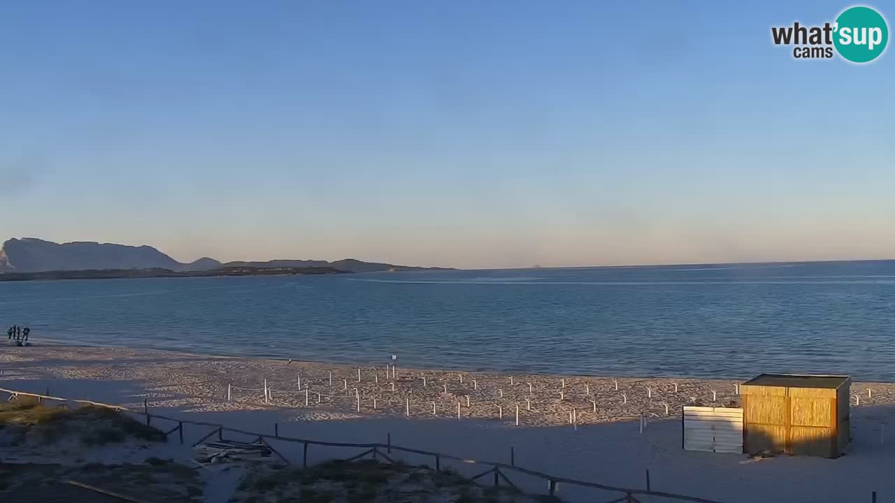 Plage de L’Isuledda – San Teodoro (OT) – Sardaigne
