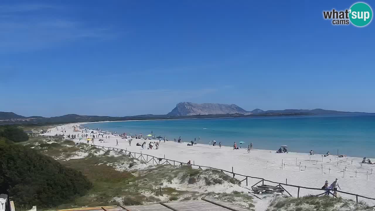 Beach de L’Isuledda – San Teodoro (OT) – Sardinia