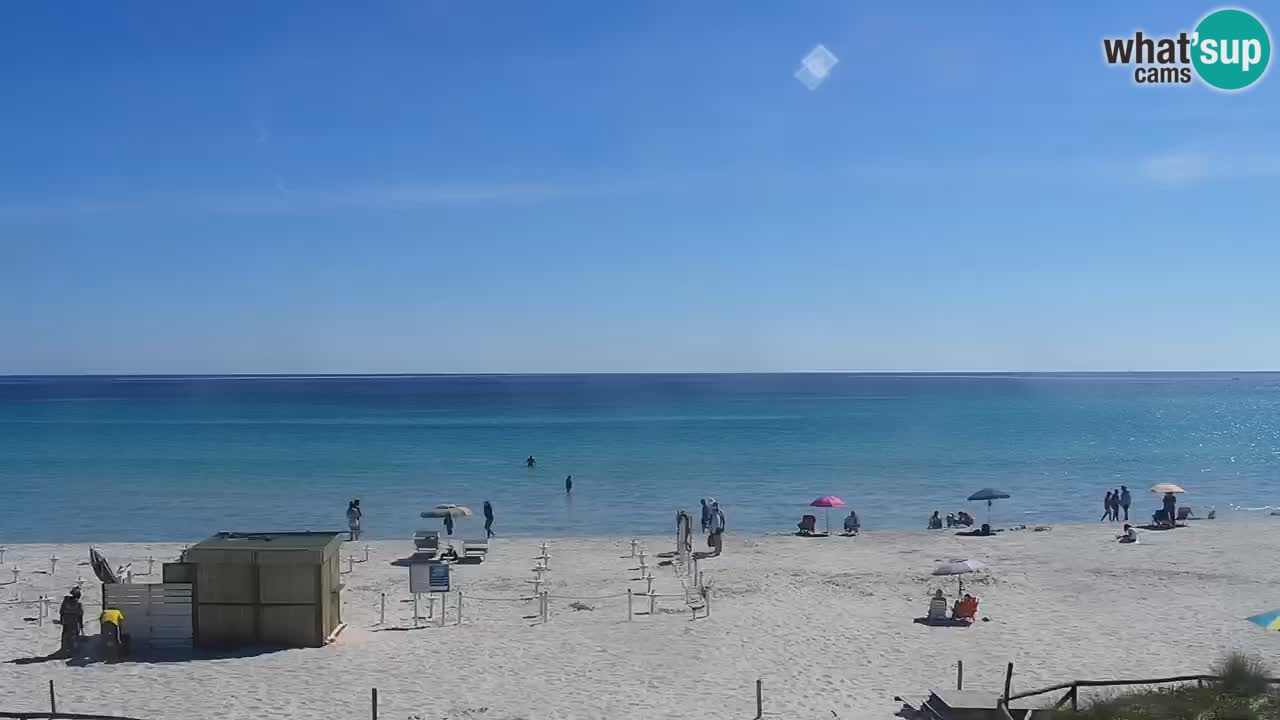 Beach de L’Isuledda – San Teodoro (OT) – Sardinia