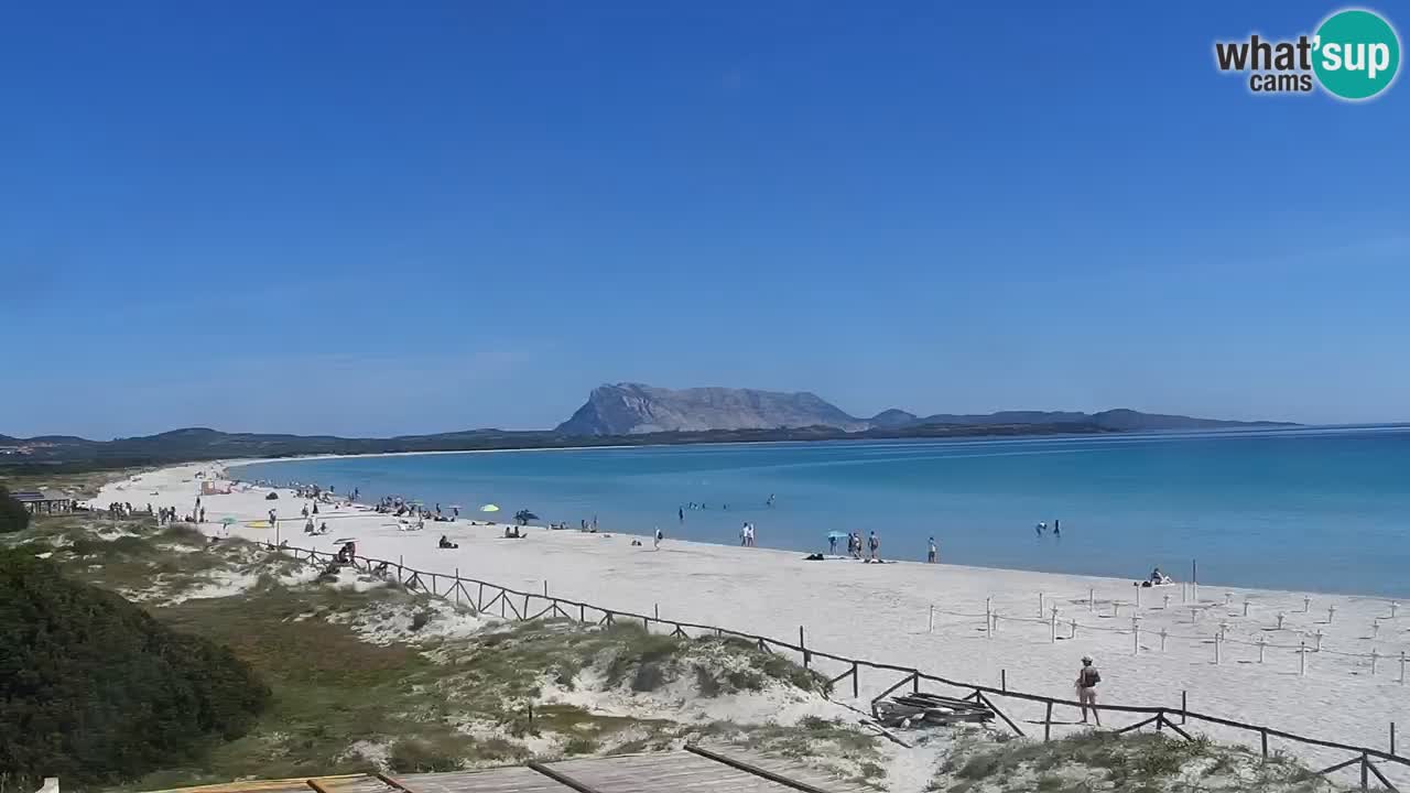 Webcam La Cinta spiaggia di San Teodoro (OT) – Sardegna